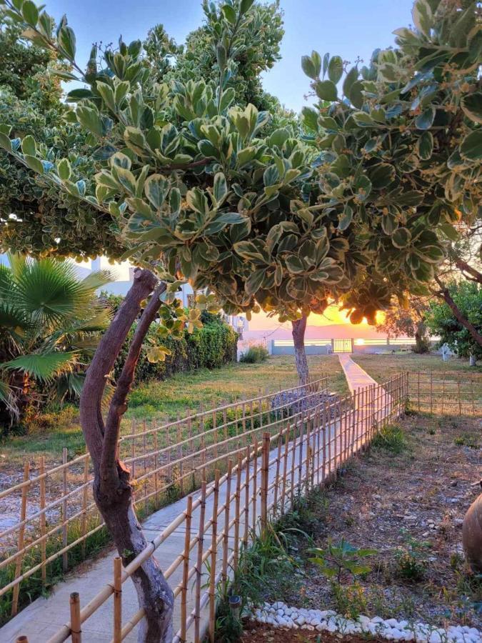 Villamare Nerántza Esterno foto